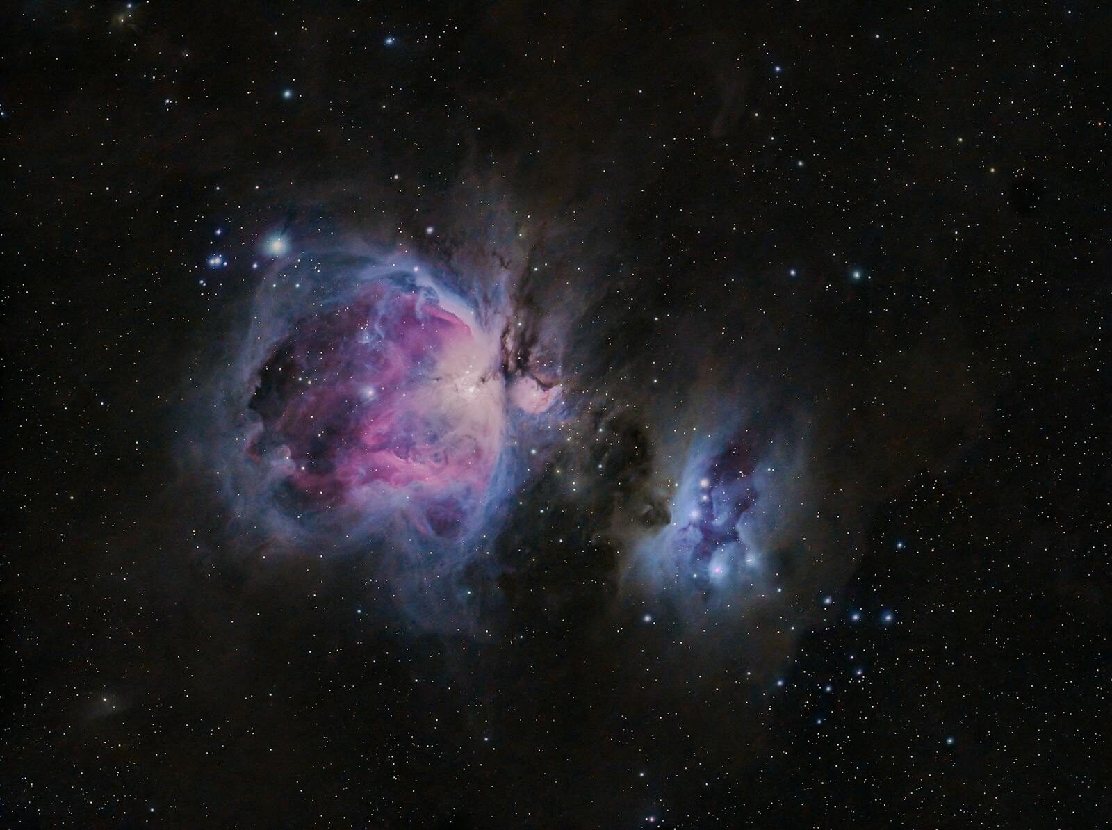 Fines & Dispute Resolution